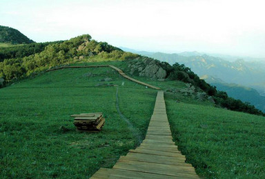 曲径通幽百花山 消夏避暑 百草甸赏花 休闲摄影活动（1日行程）