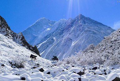 贡嘎山 那玛峰5588米攀登计划（9日行程）