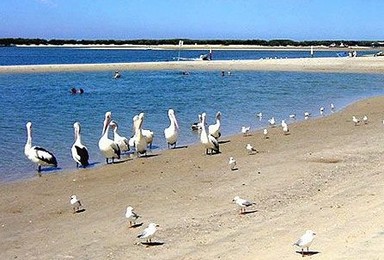 翡翠岛 面朝大海背朝沙 扎营烧烤 沙滩派对（2日行程）