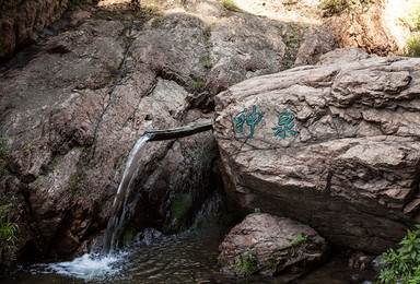 水域原始森林 神泉峡 徒步溯溪（1日行程）