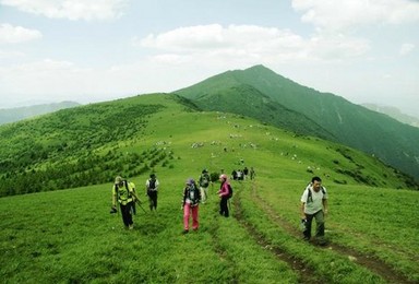 登最美海坨主峰（1日行程）