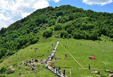 那山那寺那花海 走进百花山 到高山草甸尽情撒欢（1日行程）