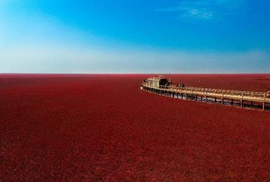 畅游亚洲第一大湿地 红海滩 走神奇天路 笔架山（3日行程）