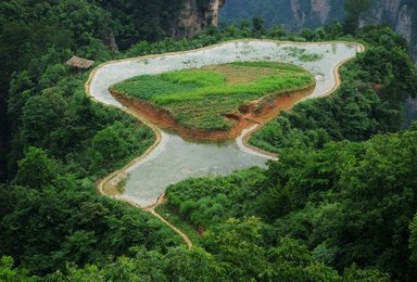 张家界国家森林森林公园 天门山 黄龙洞 宝峰湖（4日行程）