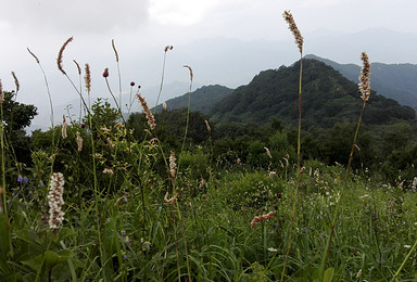 北京延庆西沟里 凤凰坨 杏树台穿越活动（1日行程）