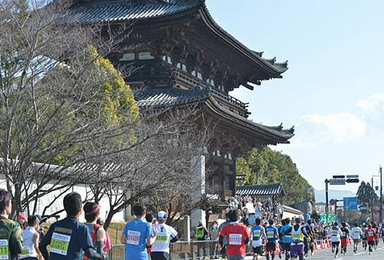 京都马拉松免抽签行程套餐（4日行程）