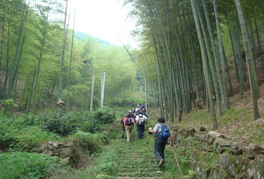 徒步上青古道 寻找兰若寺 赏幽幽竹海（1日行程）