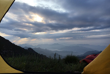 茶山 花海中徒步 一起去看流星雨（2日行程）