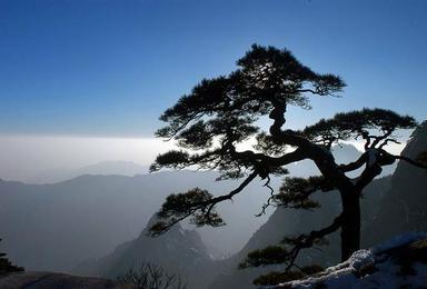 赏黄山美景 看徽派建筑 游宏村 漫步竹海 船游新安江百里画廊（4日行程）