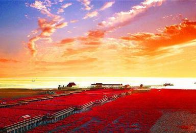 天涯队9.14-16  畅游亚洲第一大湿地—红海滩·走神奇天路-笔架山·休闲摄影游！（3日行程）