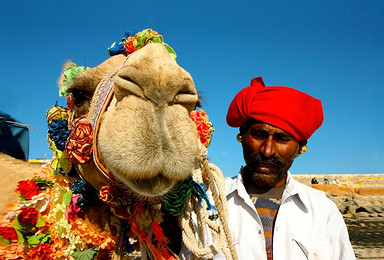 印度 一块绚丽多彩的染布骆驼节深度摄影之旅（13日行程）