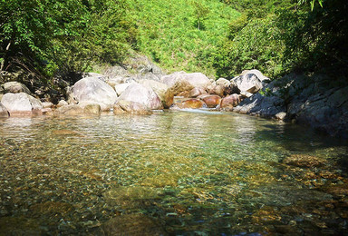 游友旅行丨井坑溯溪穿越，清凉一夏。8.28（1日行程）