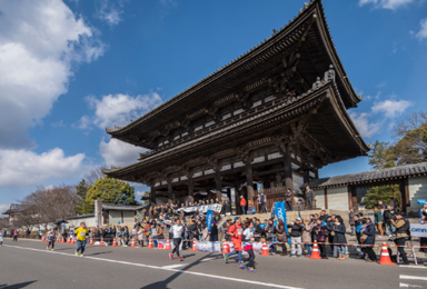 2017京都马拉松（6日行程）