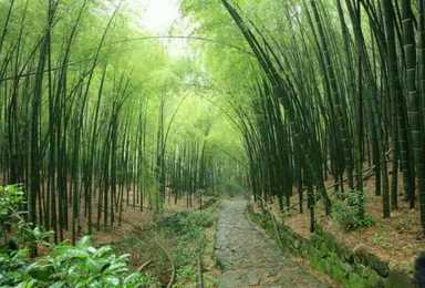 游望活动 上青古道闲意游 邂逅小倩兰若寺（1日行程）