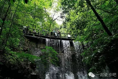 烟雨江南莫干山 赏竹海听山泉（1日行程）