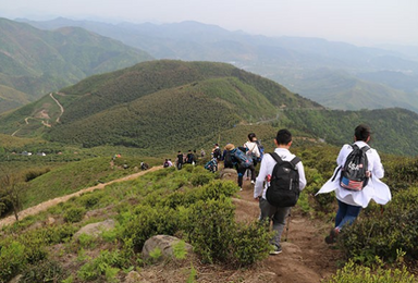 登山远眺赏美景 王位山中享清凉 王位山游（1日行程）