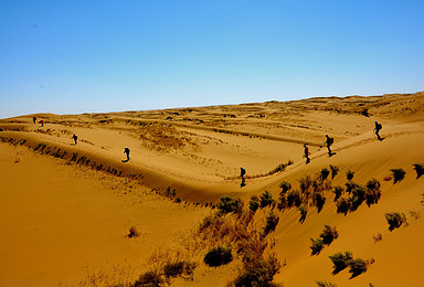 库布齐沙漠东线轻装穿越（5日行程）