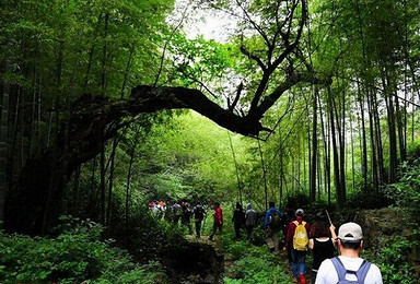 上青古道 寻找兰若寺特价游活动（1日行程）