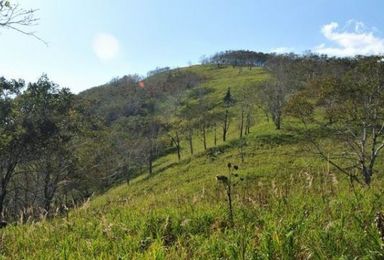 平山刀切砬子穿越、神鹿鹿苑深林公园休闲活动召集（1日行程）