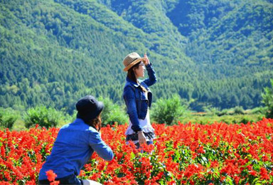 野蘑菇9月4日周日-延庆-四季花海-百里画廊，永宁古城一日休闲摄影游（1日行程）