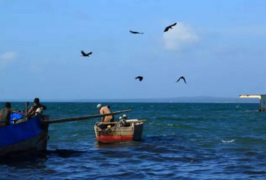 大泽山摘葡萄 桑岛海边吃海鲜挖蛤蜊 捉螃蟹纯玩（2日行程）