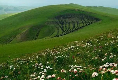 穿梭草原花海舜王坪 探历山秘境（2日行程）