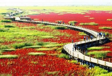 中秋节 奇景观鹤红海滩 天国神路笔架山 红海滩 笔架山（3日行程）