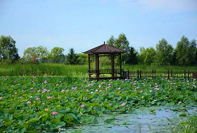 逍遥群9月4日去双鸭山安邦河湿地公园游玩+北大荒绿色庄园。（1日行程）