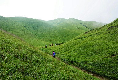 醉美高山草甸 行摄武功山（2日行程）