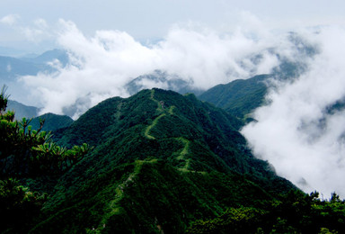 不羁之路 安徽的原始森林 万佛山密境寻踪（1日行程）