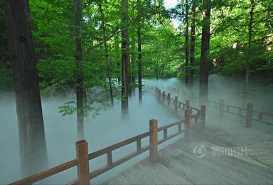 北京植物园 徒步登山摄影野餐（1日行程）