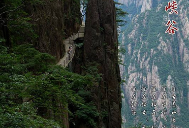 黄山 宏村 西递 千岛湖休闲游（5日行程）