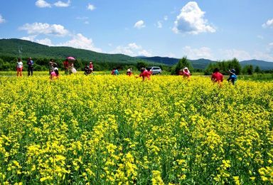 五彩斑斓的呼伦贝尔大草原（5日行程）