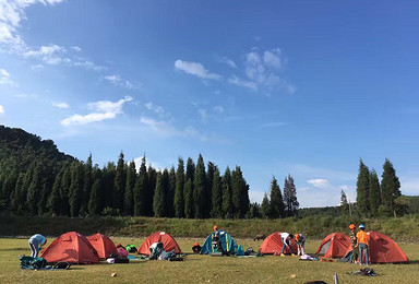 云南保山施甸 四大山野鸭湖露营赏花招募中（2日行程）