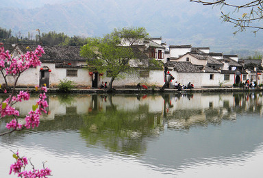 中秋火车团 黄山 宏村 木坑竹海 西递 景德镇水墨江南之旅（4日行程）