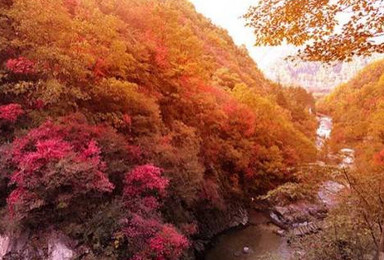 老君山这里的初秋才是最惊艳的风景（2日行程）