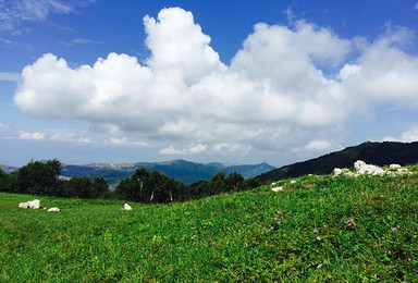 10月2日 登顶北京第一高峰东灵山 赏高山草甸 蓝天云海（1日行程）