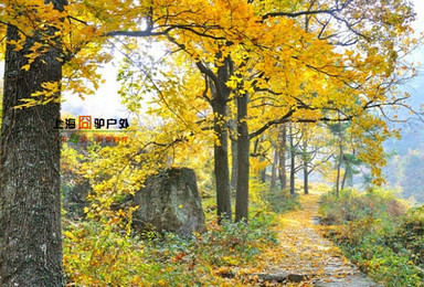 11.18-11.20南黄古道赏秋，国清寺祈福（3日行程）