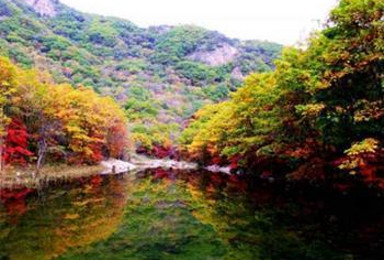 云霞满天 小溪潺潺的大王沟森林公园欣赏红叶活动（1日行程）