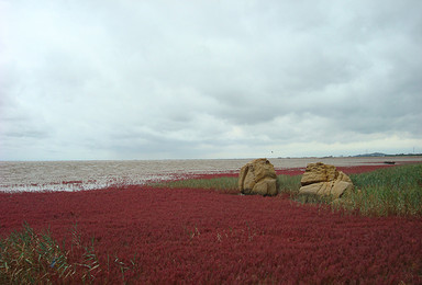 营口原生态红海滩 海蚀地貌 海鲜大餐（1日行程）