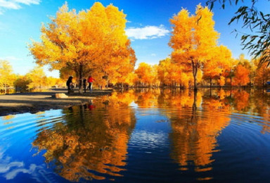 国庆穿越大西北之圣洁的青海湖天空之镜的茶卡盐湖美丽的胡杨林（8日行程）