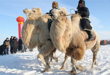 呼伦贝尔旅游包车拥抱中国冷级 口岸 不冻河 阿尔山骑马越野（9日行程）