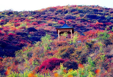 活动 坡风岭风景区 红叶欣赏 休闲摄影（1日行程）