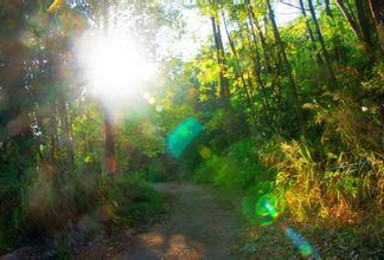 重阳节登火凤（1日行程）