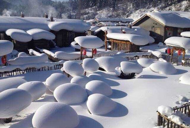 哈尔滨 二浪河 雪乡穿越林海（2日行程）