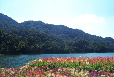 石门 七彩天池 花海盛宴（1日行程）