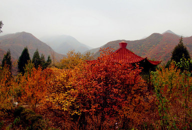 双龙峡 周末 赏红叶 十里溪流 百潭瀑布（1日行程）