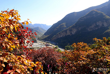 坡峰岭看最美漫山红叶 驴线 休闲双队（1日行程）