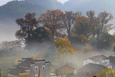可代订火车票 火车团婺源 中国最美丽的乡村 看秋景摄影活动（3日行程）