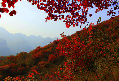 坡峰岭 晚秋红叶房山坡峰岭 玉虚宫 观音洞 鹰嘴崖摄影（1日行程）